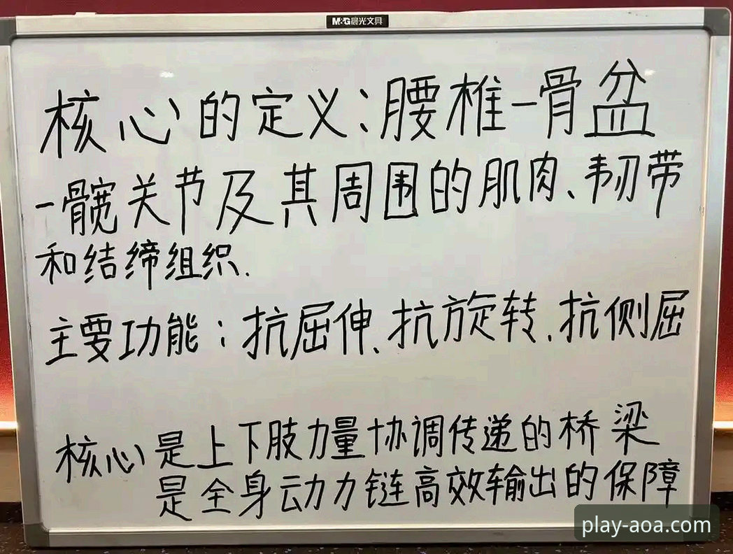 新手必看！资深玩家亲测AOA体育功能安全性，真实使用心得分享